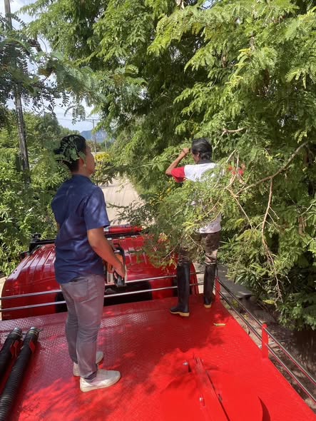 งานป้องกันฯร่วมกับงานสาธาฯ ร่วมกันตัดแต่งกิ่งไม้ที่กีดขวางทางจราจรเพื่ออำนวยความสะดวกให้กับประชาชนที่สัญจรไปมา